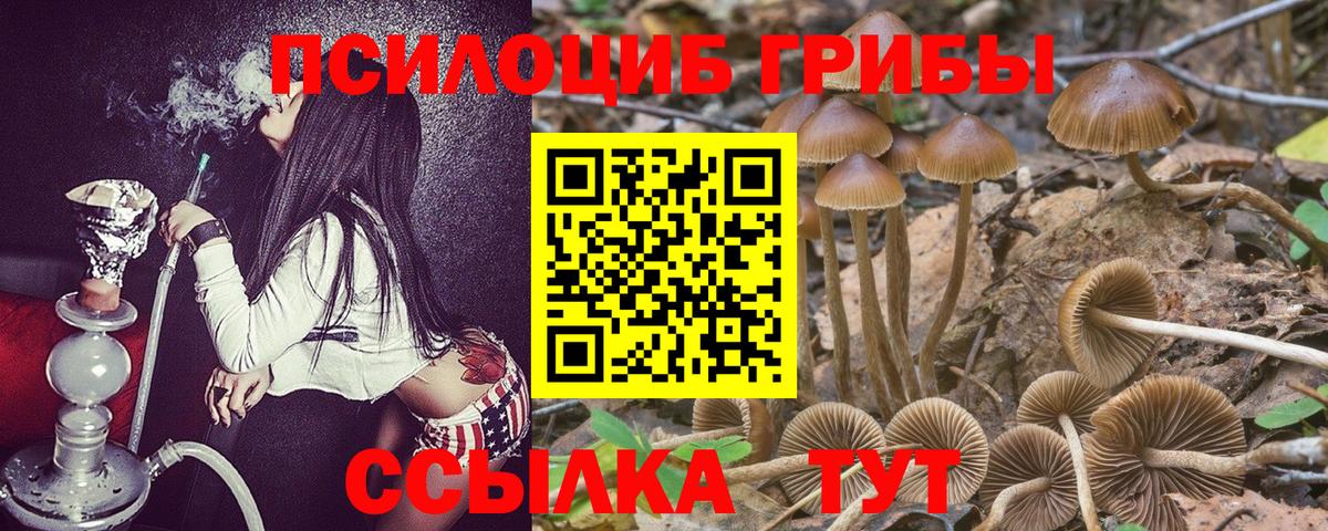 Псилоцибиновые грибы GOLDEN TEACHER  купить  цена  Галлюциногенные грибы мухоморы  Добрянка  Вход с VPN 